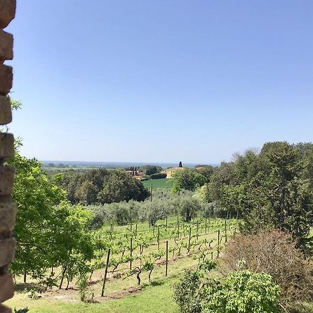 Agriturismo La Leccia Villa Bibbona Luaran gambar