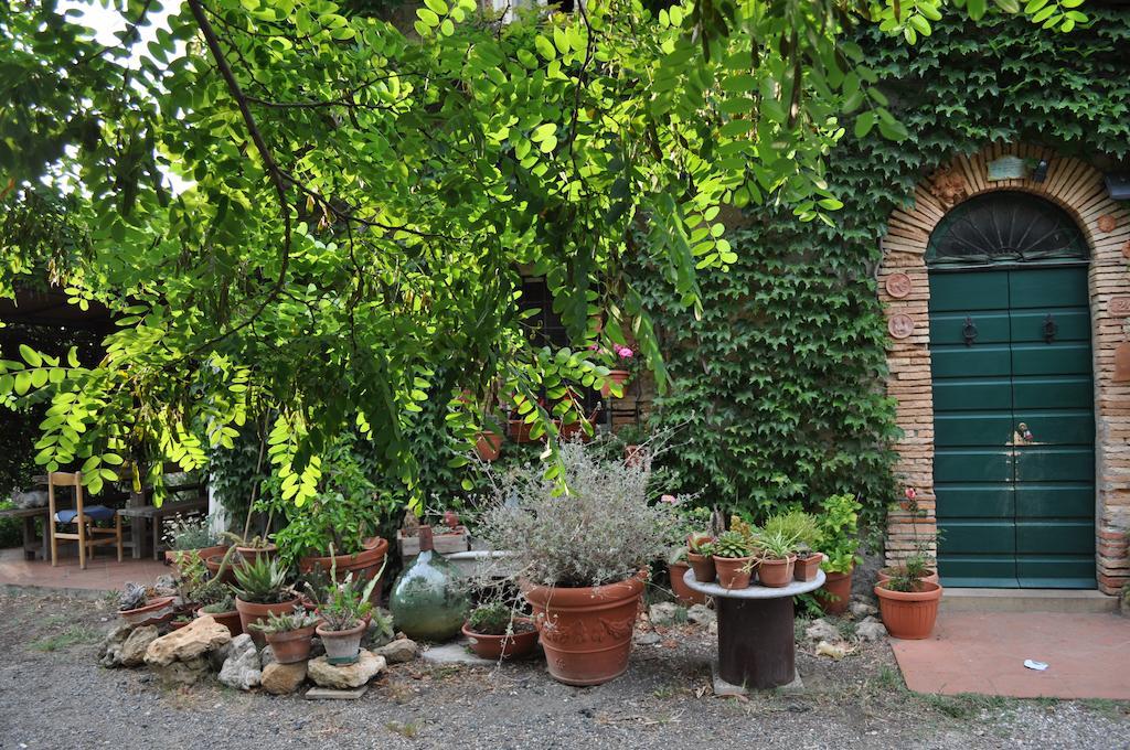 Agriturismo La Leccia Villa Bibbona Luaran gambar