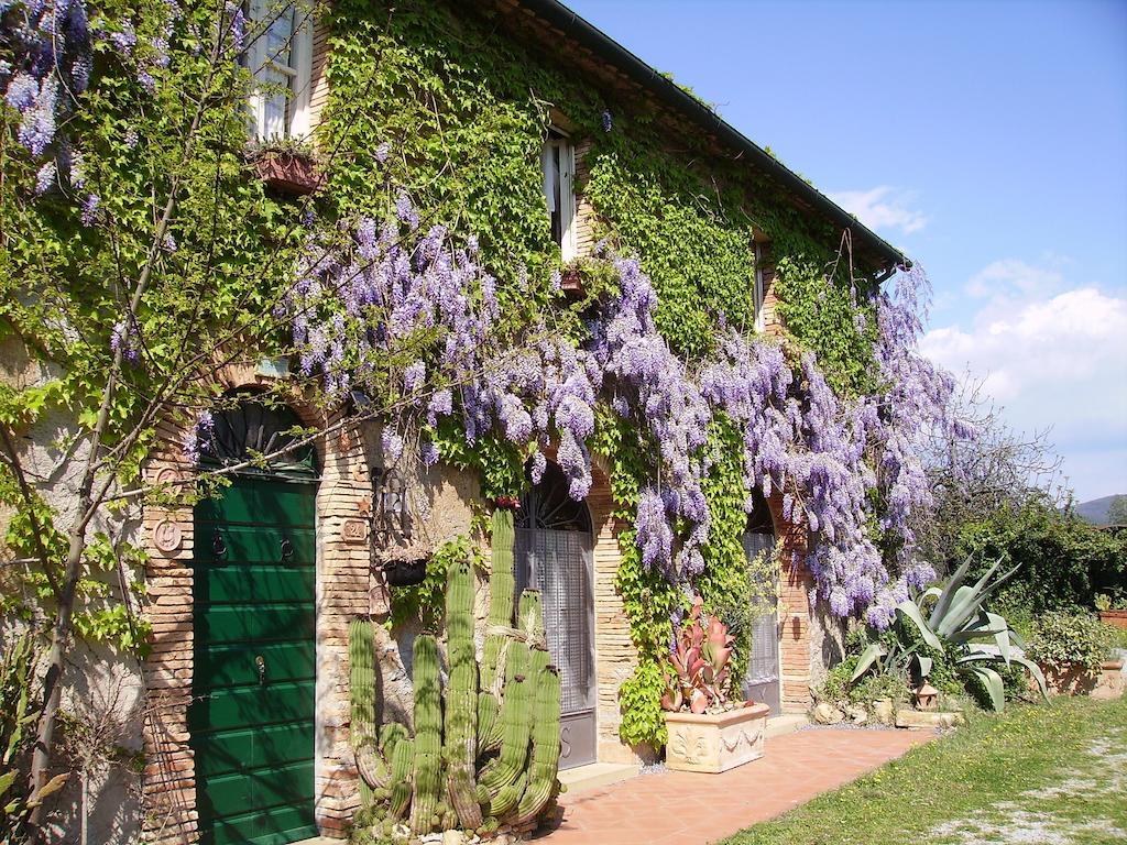 Agriturismo La Leccia Villa Bibbona Luaran gambar