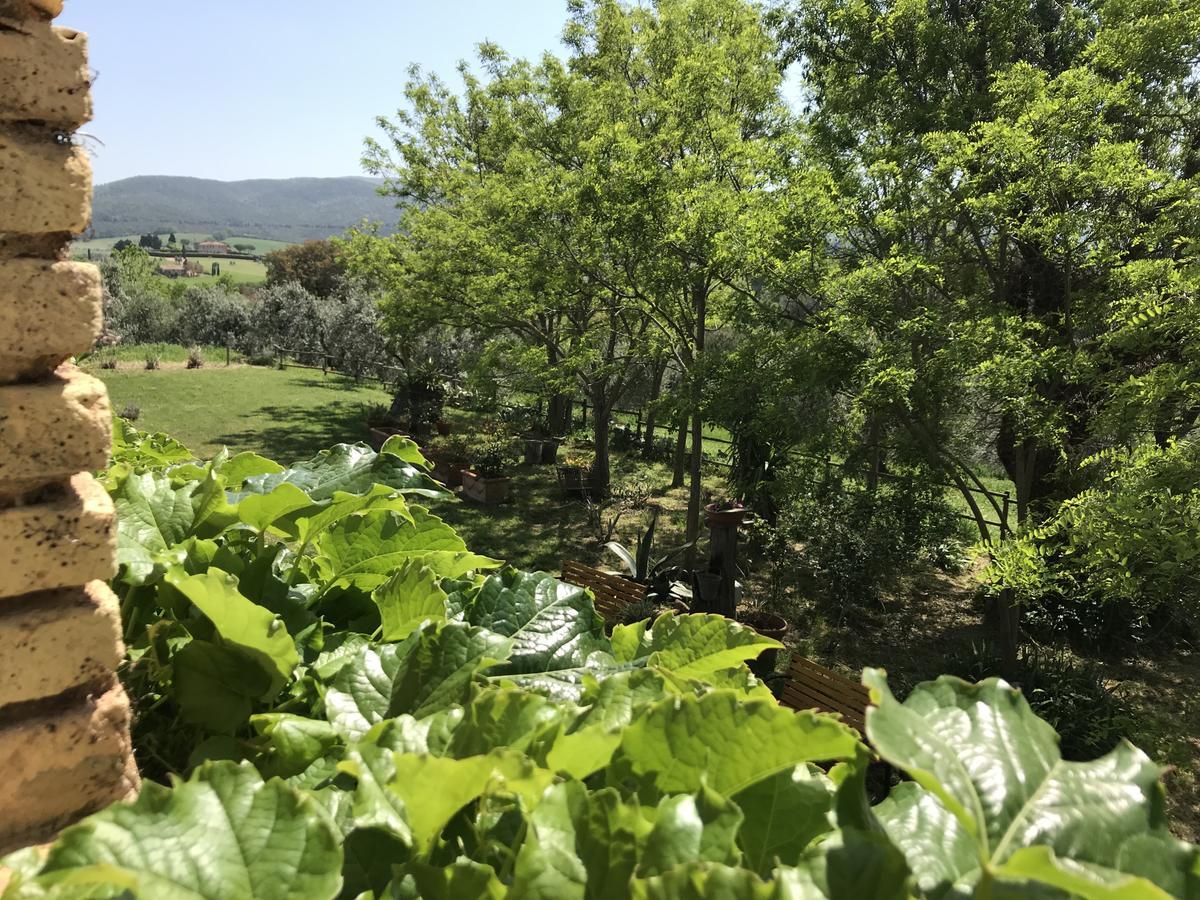 Agriturismo La Leccia Villa Bibbona Luaran gambar