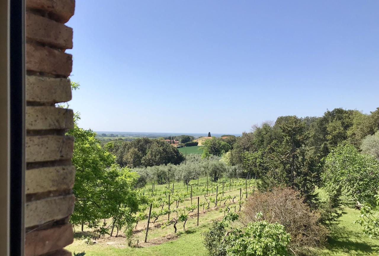 Agriturismo La Leccia Villa Bibbona Luaran gambar