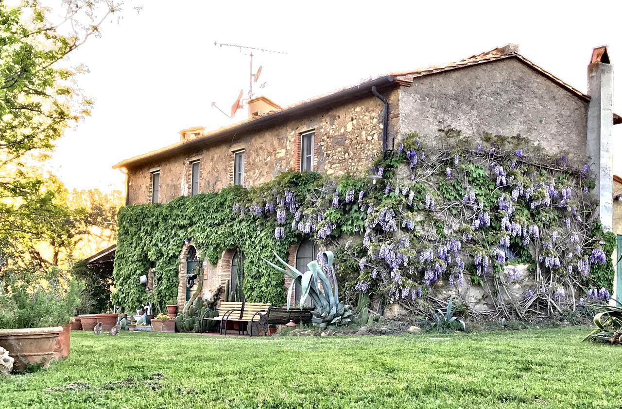 Agriturismo La Leccia Villa Bibbona Luaran gambar